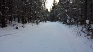 groomed-trail