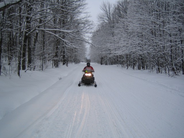 Trail 1 to White Pine