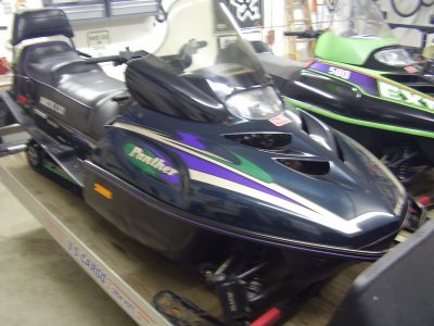 arctic cat panther