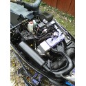 Picture of 1994 Polaris XLT 600