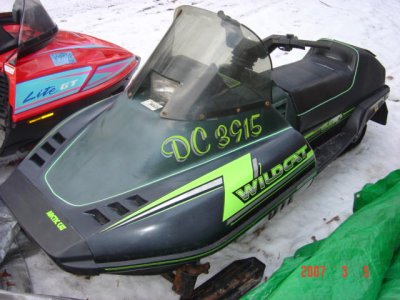 arctic cat wildcat