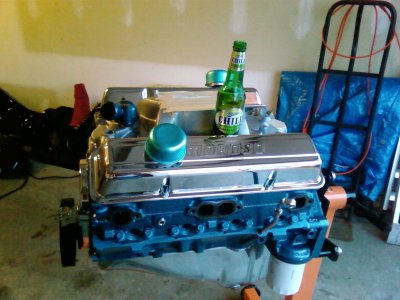 Picture of my built 355 for your sled