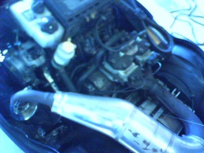 Picture of 01 AC mountain cat 600EFI