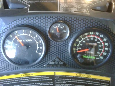 Picture of 2001 Arctic Cat Thunder Cat 1000